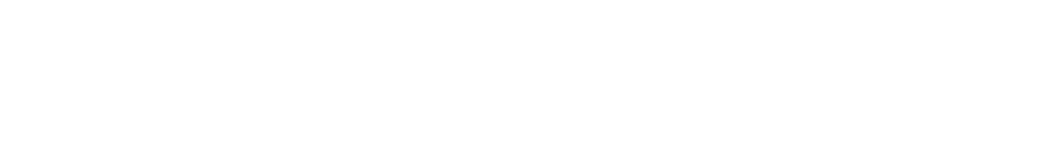 VEES | PARTNER